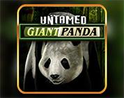 Untamed - Giant Panda